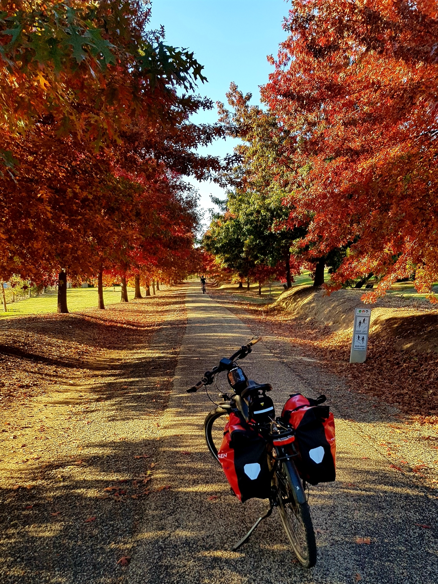 Beechworth_railtrail_Autumn.jpg
